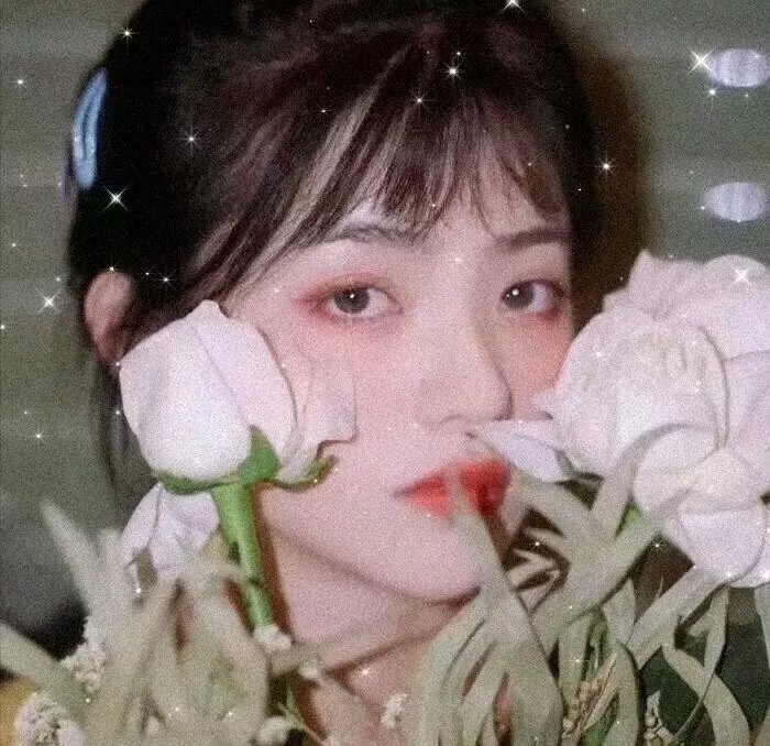 哈丽特